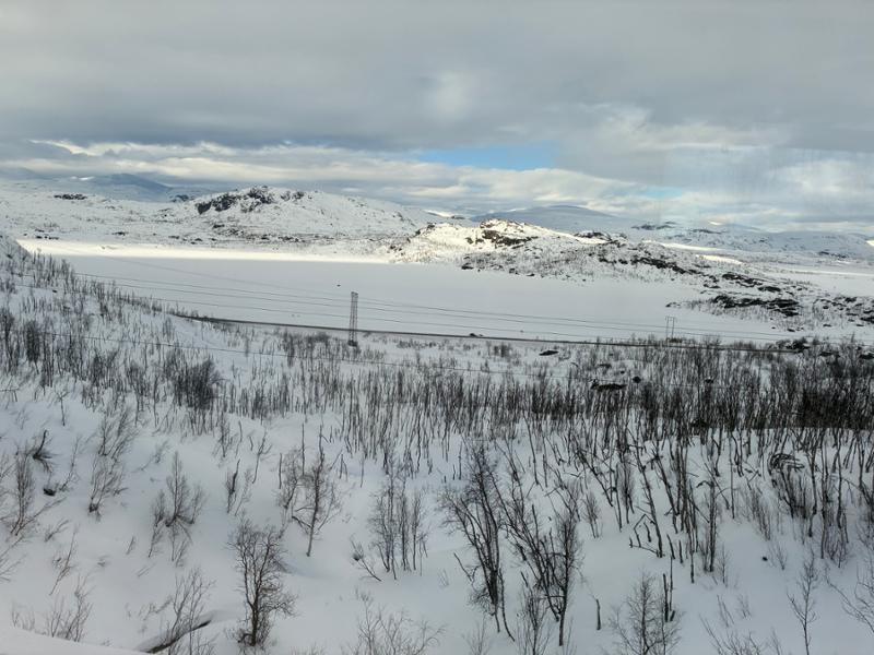 Your tour in Tromso - In Search of the Northern Lights