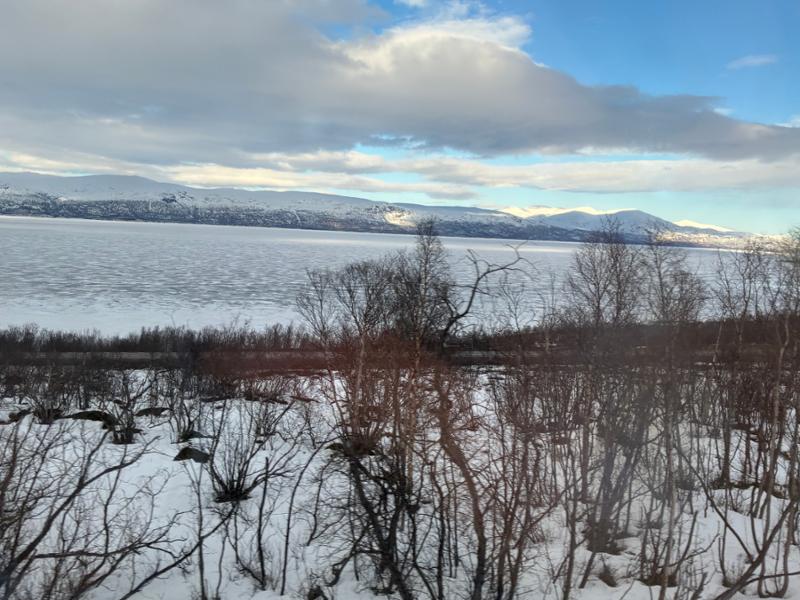 Your tour in Tromso - In Search of the Northern Lights