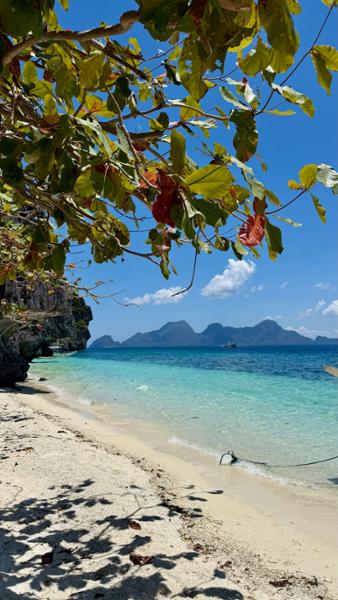 Perfect Palawan trip
