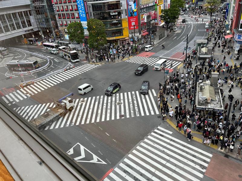 Majestic Japan