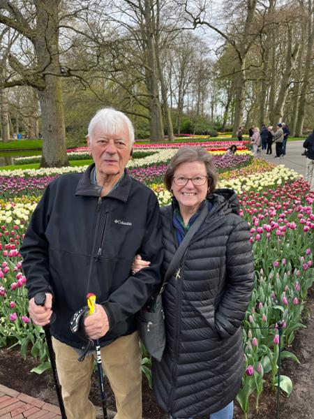 Tulips & Windmills