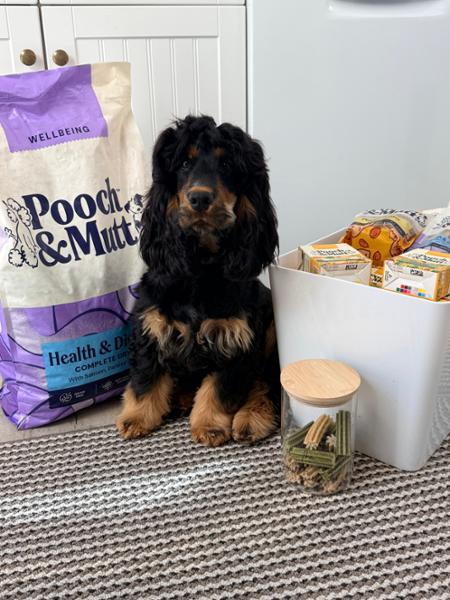 Sensitive Stomach Dry Dog Food | 2kg | Pooch & Mutt Health & Digestion Dry Dog Food | Prebiotic Dog Food For Digestive Issues | Grain-Free