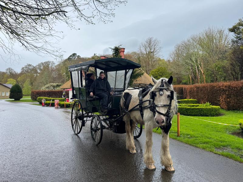 You can experience beautiful Irish countryside in 1 week!