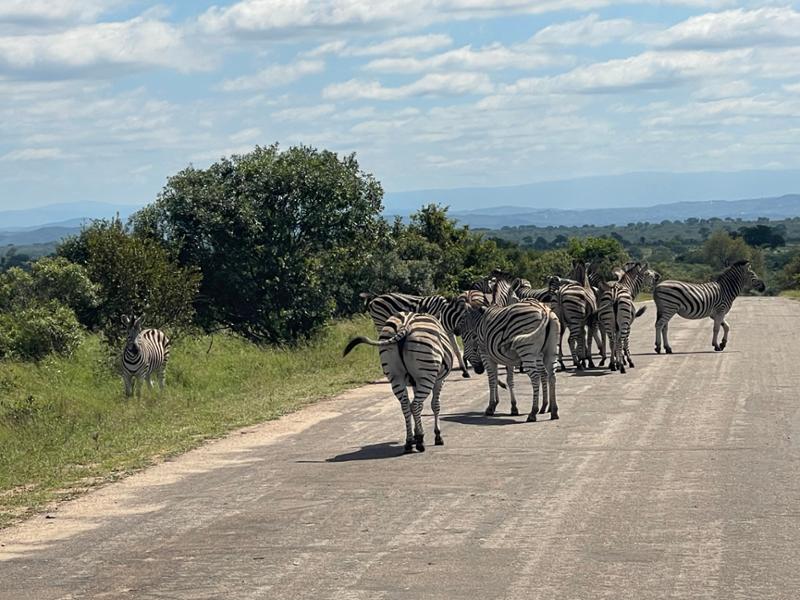 South Africa