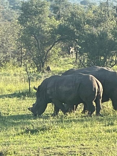 South Africa