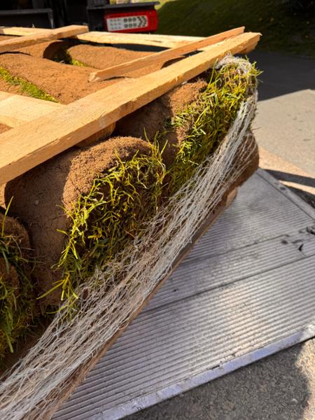 Avoid Rolawns!!