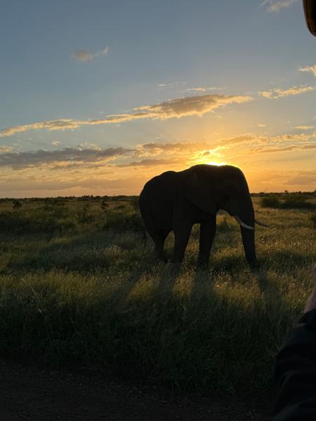 Cape Safari and Falls