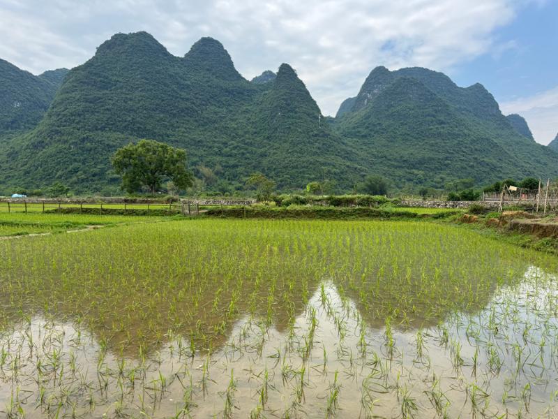 Additional Night Changsha|Guilin & Yangshuo Short Stay 4D/3N|Natural Treasures of China