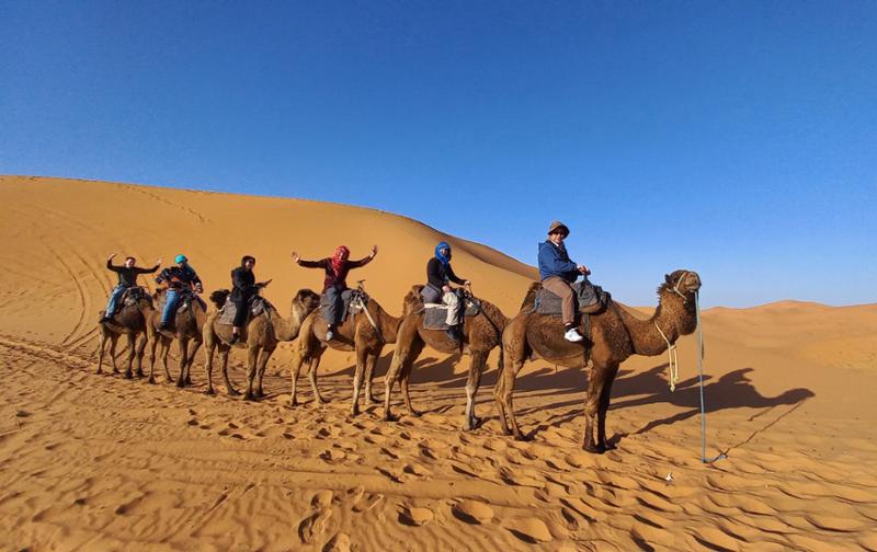 Highlights of Morocco