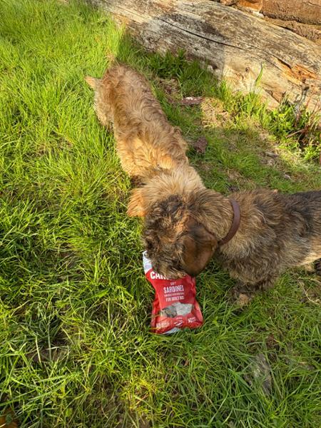 NEW Duck enriched with Rosemary Soft Dog Treats