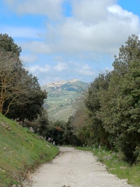Magna Via Francigena: Palermo to Agrigento
