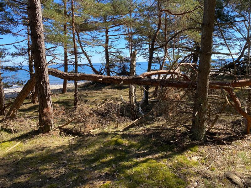 Guntorps Herrgård