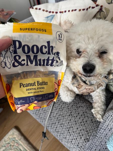 Peanut Butter Dental Sticks For Dogs | 7 Sticks | Peanut Butter Dental Chews For Dogs | Pooch & Mutt | Grain-Free & Vegan