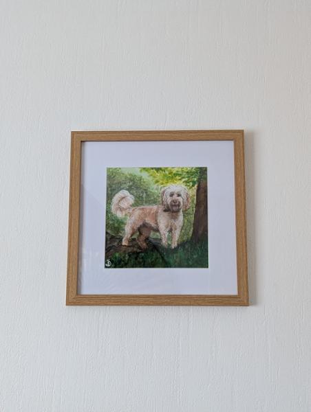 12x12" Frame For 8x8" With Glass | Oxford