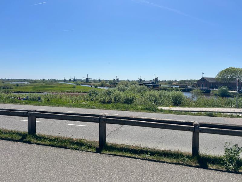 Amsterdam  Kinderdijk & the Dutch Bulbfields River Cruise