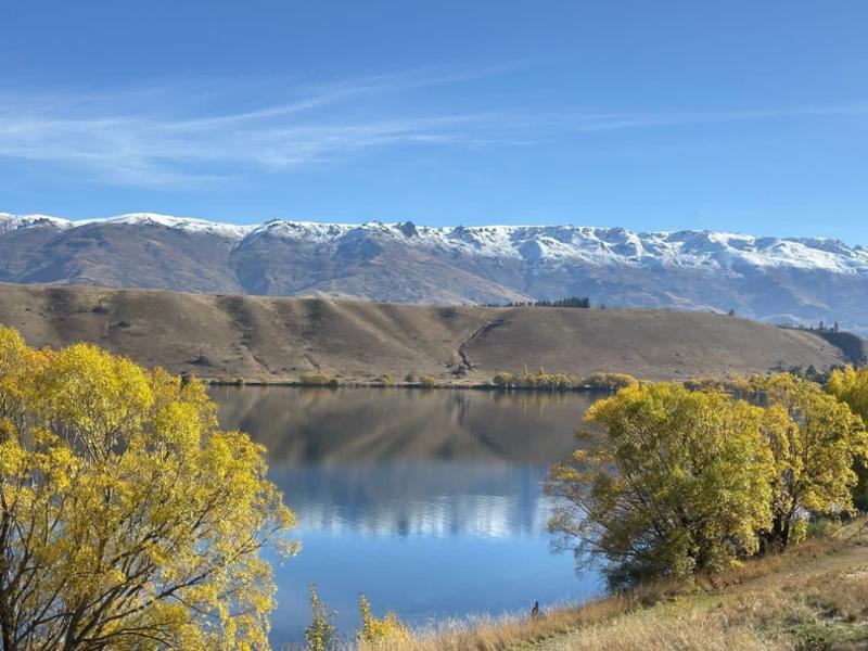 Contrasts Of New Zealand