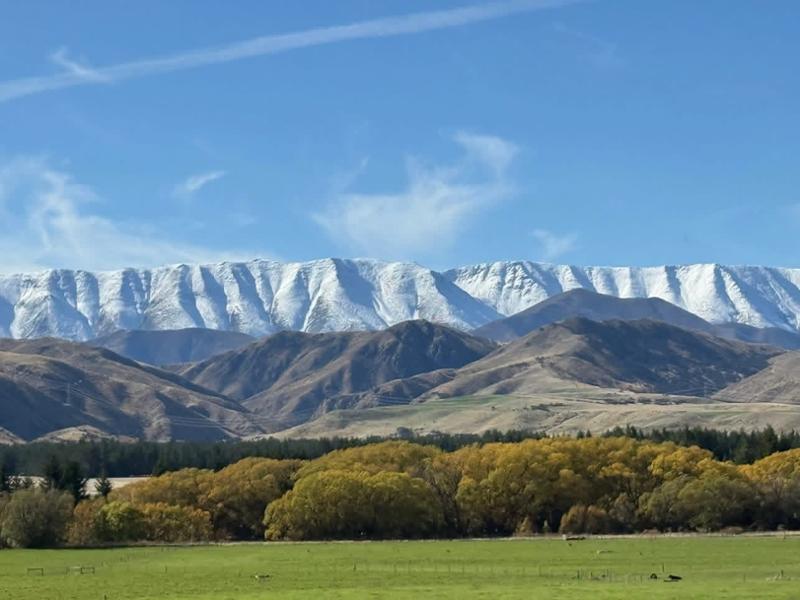 Contrasts Of New Zealand