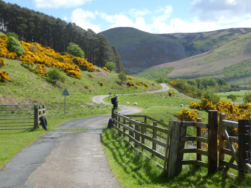 St Cuthbert's Way