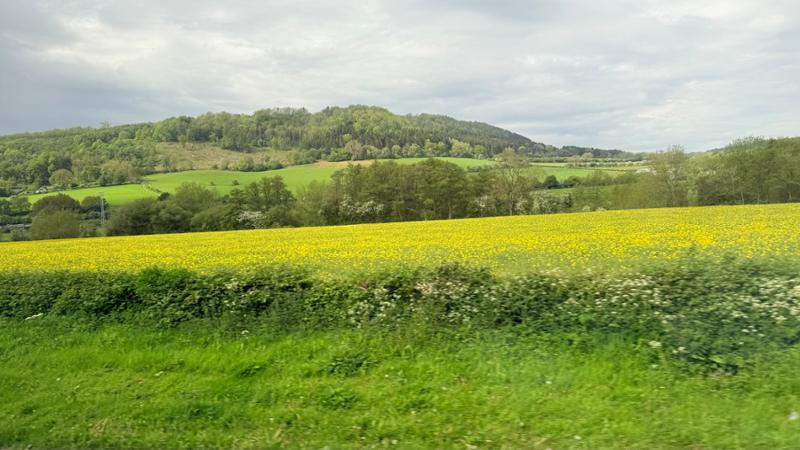 Amazing Britain