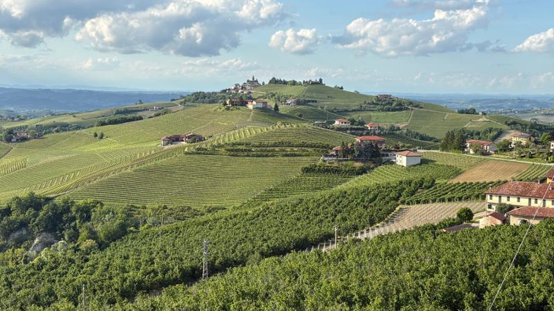 Your holiday: Montelupo Guided Walking