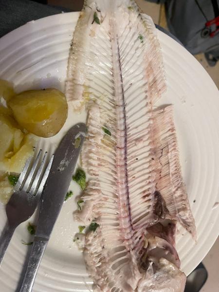 Prime Dover Sole - fresh sustainable fish delivered next day