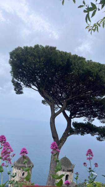Pompeii  Capri and the Bay of Naples