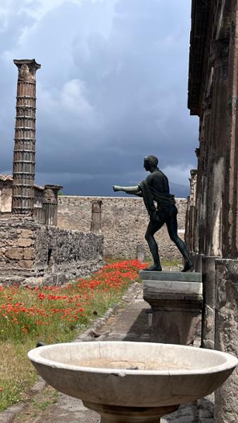 Pompeii  Capri and the Bay of Naples