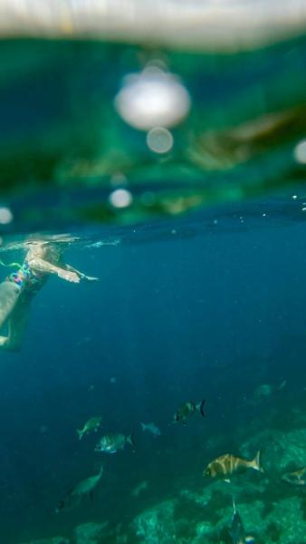 A Different and Unique holiday in The Azores