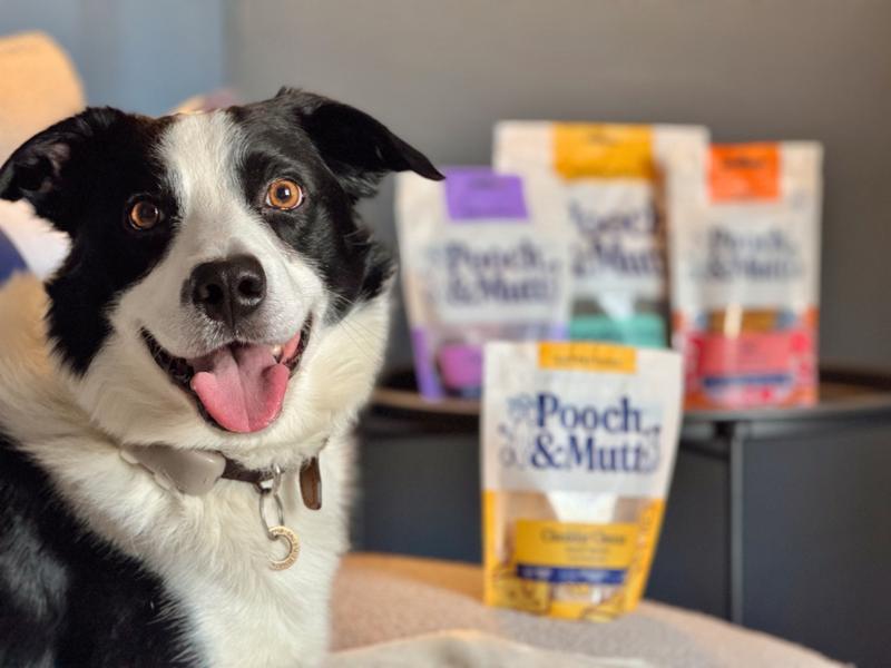 Gut Health Test Kit For Dogs | Microbiome Test For Dogs | Get An Online Gut Health Report For Your Dog | Pooch & Mutt | Results Within 4 Weeks