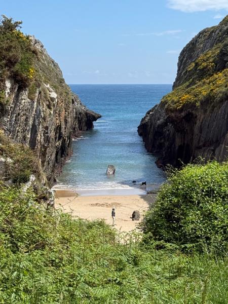 An enjoyable walk on a wild coast