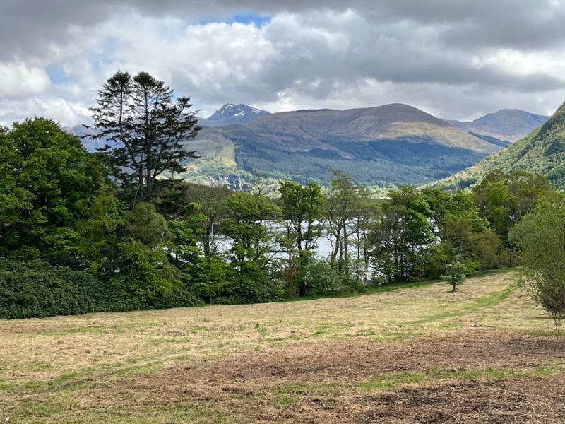 Your holiday: Scottish Highlands  - Guided Walking