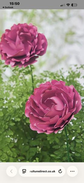 Mobara Purple Peony Garden Stake Culture Vulture