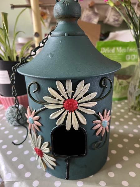 Daisy Chain Multicolour Metal Garden Birdhouse Culture Vulture
