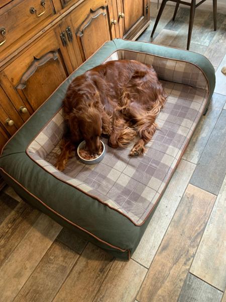 Heritage Dog Sofa Bed - Emerald - Large - Replacement Cover - George Barclay