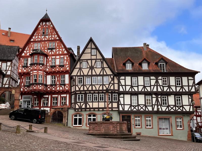 Cruise the Heart of Europe