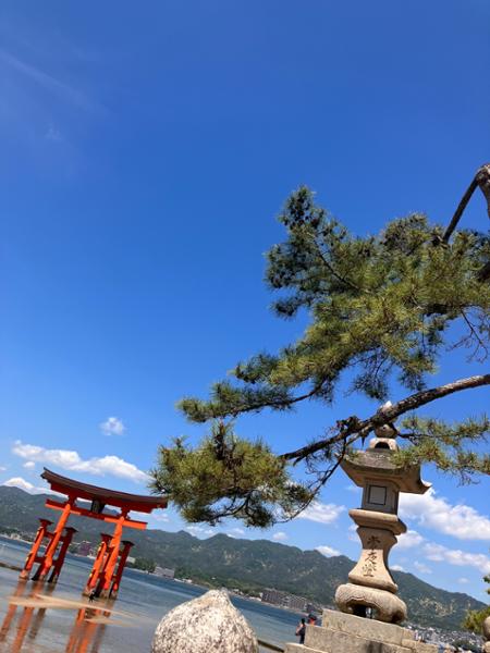 6098-Best of Japan