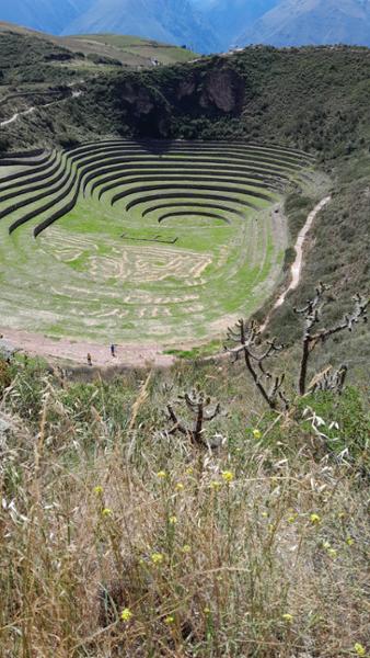 5052-Wonders of Peru