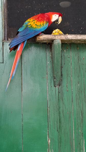5052-Wonders of Peru