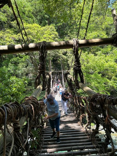 5626-Southern Japan Discovery