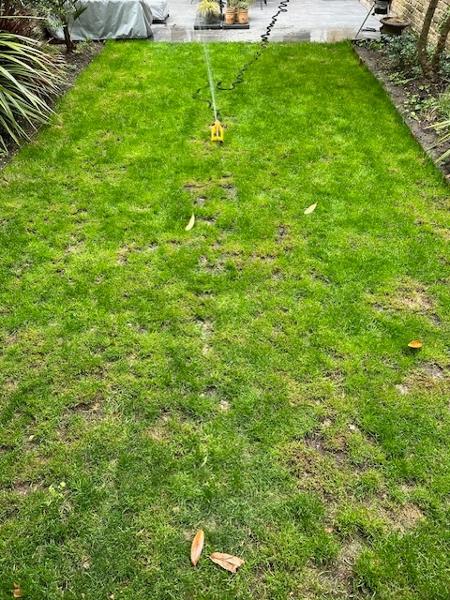 Very bad turf quality