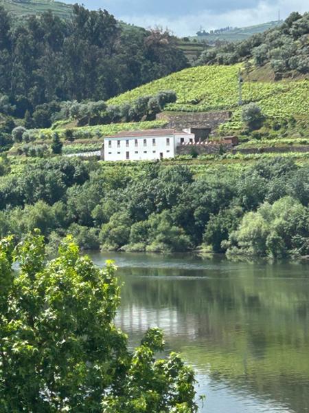 11 Day Lisbon, Porto & Douro Valley Cruise incl. Lisbon, Porto, Port Tastings, All-inclusive river cruise + more.