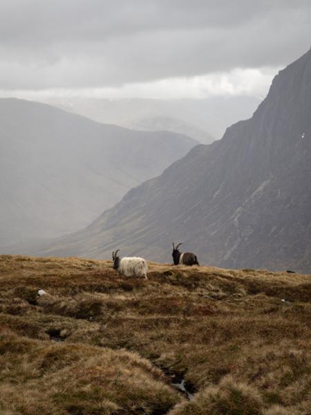 West Highland Way Reverse