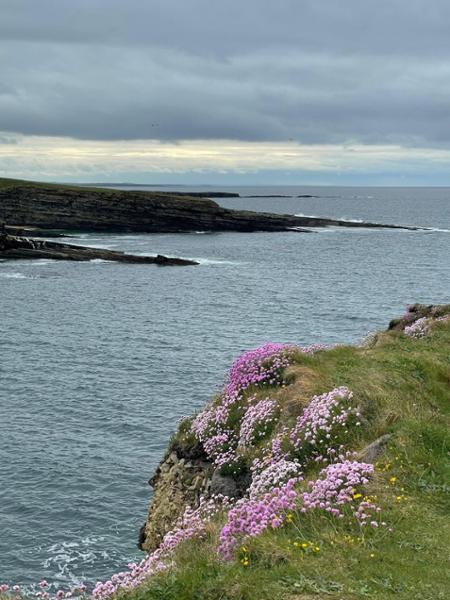 Best of Ireland