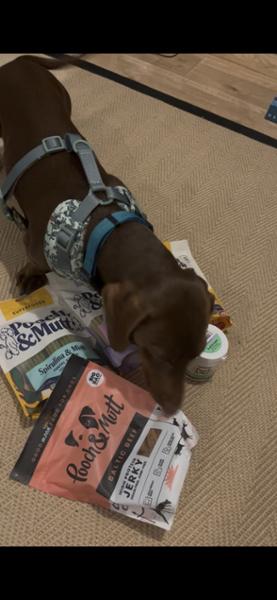 Dental Stick Bundle For Dogs