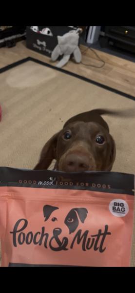 Dental Stick Bundle For Dogs