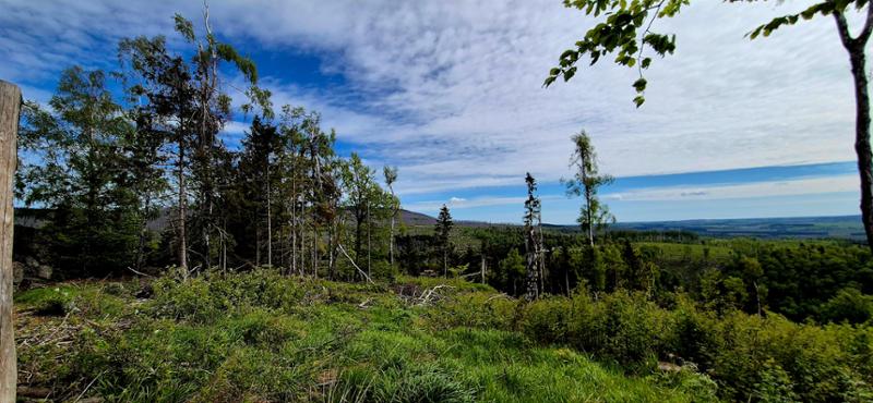 Ferienpark Brockenblick
