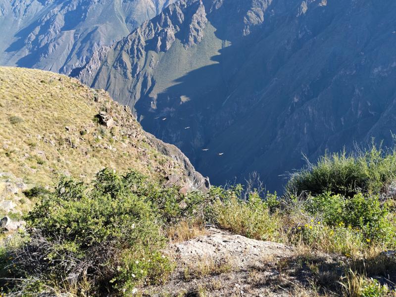 Panoramic Peru