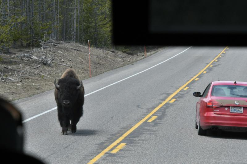 Recommended tour to get a taste of several national parks.
