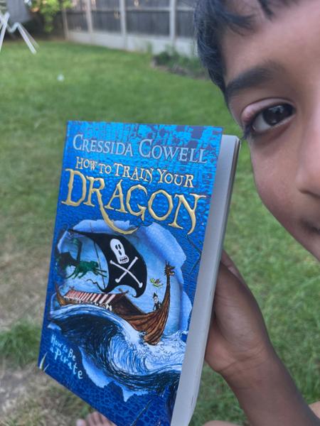 How to Train Your Dragon Complete Book Set (Books 1-12)