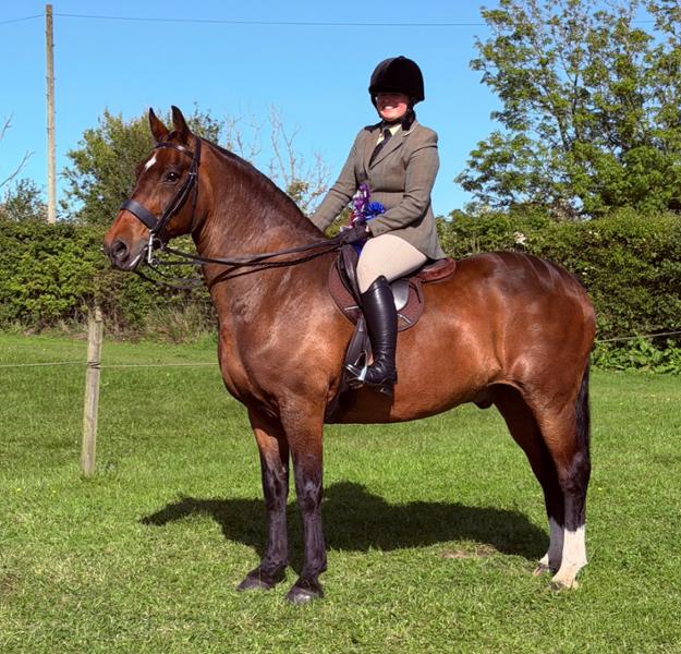 Blue Chip for the best balancers!